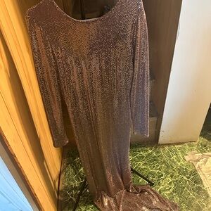 Cameo Brown Long Sleeve Scoop Neck Gown